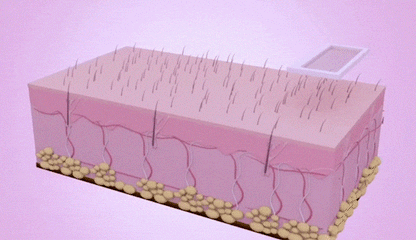 Épilateur à Lumière Pulsée Intense Ipl 999 Flashs Visage